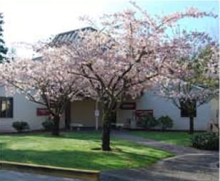 402 Black Hills Ln SW, Olympia, WA for sale - Building Photo - Image 3 of 11