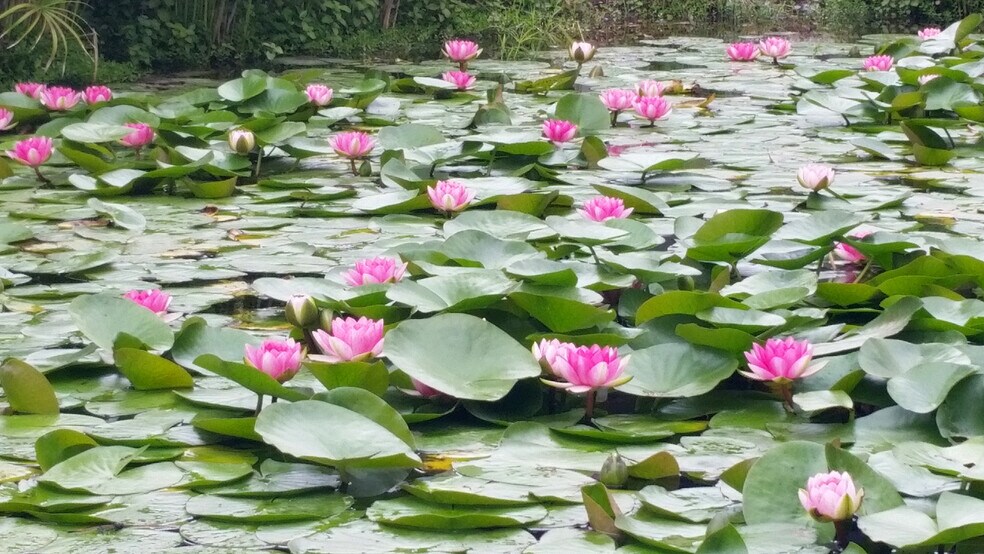 1524 Brookhollow Dr, Santa Ana, CA à louer - Photo du bâtiment - Image 3 de 24