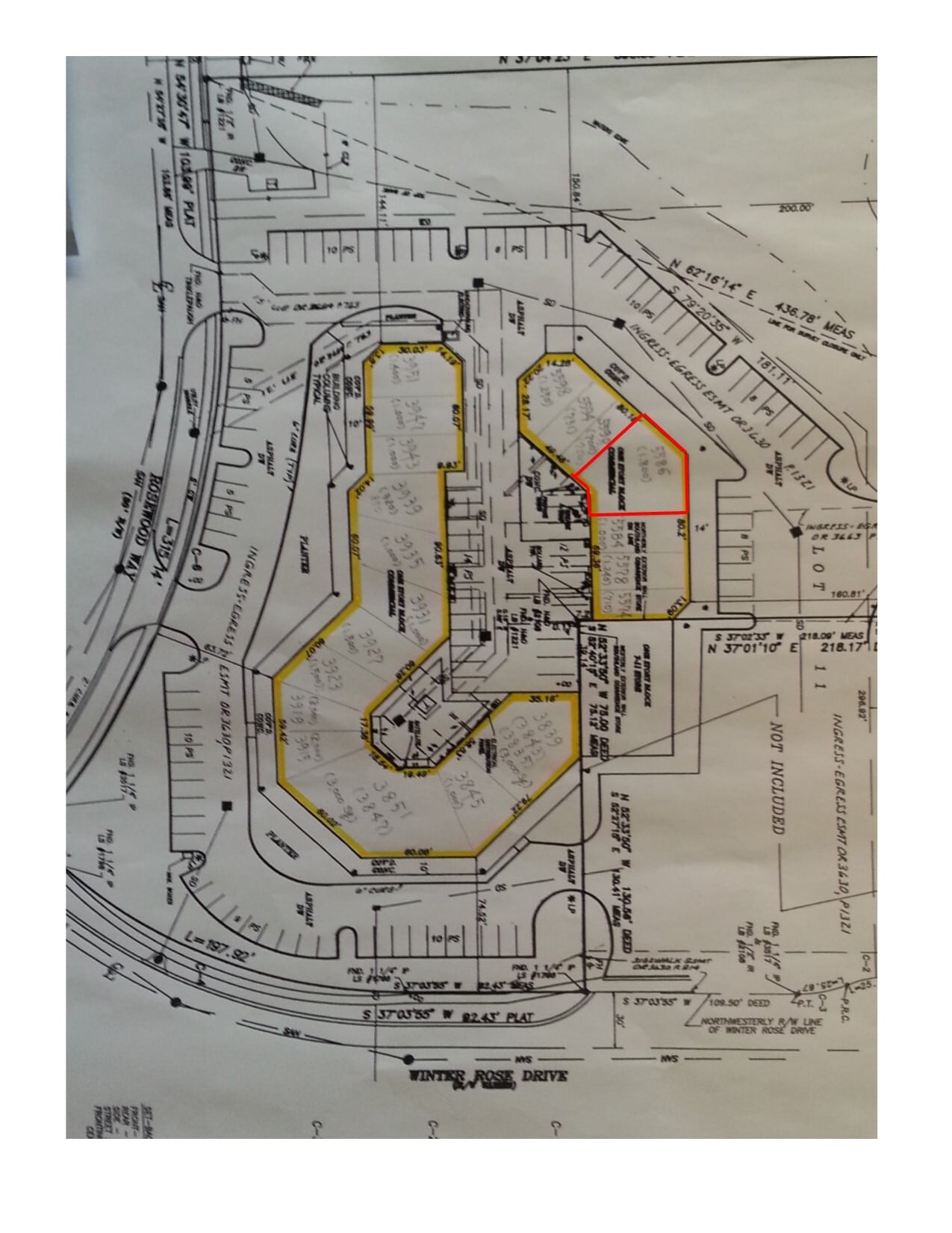 5570-5598 N Orange Blossom Trl, Orlando, FL à louer Plan de site- Image 1 de 1
