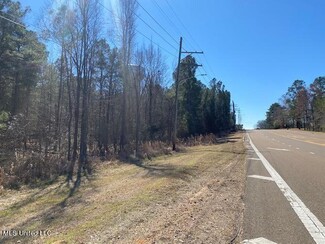 More details for Tisdale Rd., Madison, MS - Land for Sale