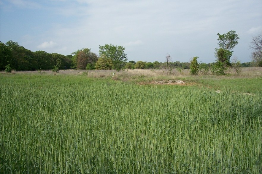 0000 Fishtrap Rd, Aubrey, TX for sale - Primary Photo - Image 1 of 1