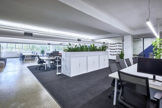 241 Commonwealth St, Surry Hills à louer Photo intérieure- Image 1 de 10