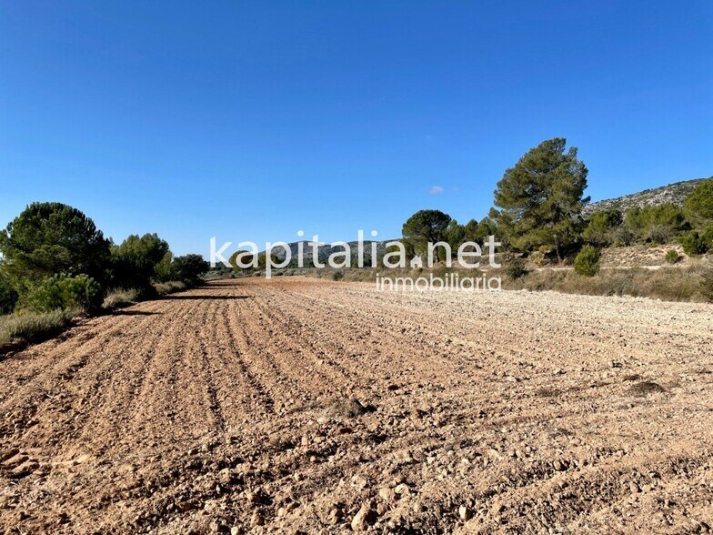 Land in Bocairent, Valencia for sale - Site Plan - Image 3 of 5