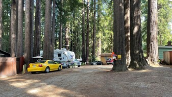 Redwood Resort RV Park - Terrain de camping