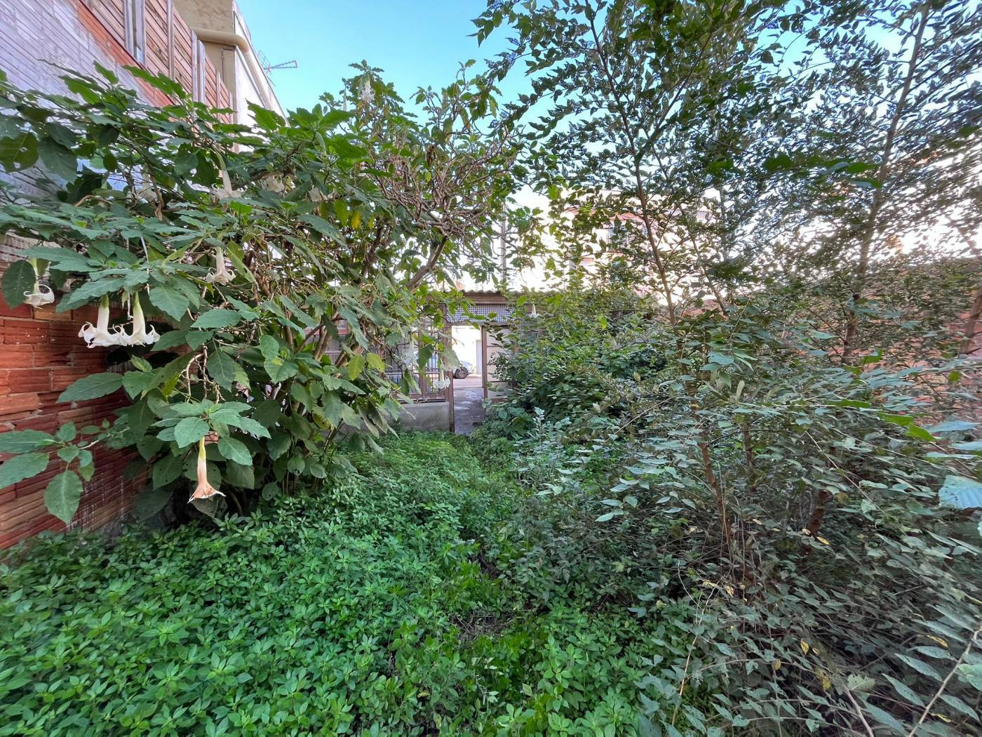 Terrain dans Sant Pere de Ribes, Barcelona à vendre Plan d’étage- Image 1 de 3