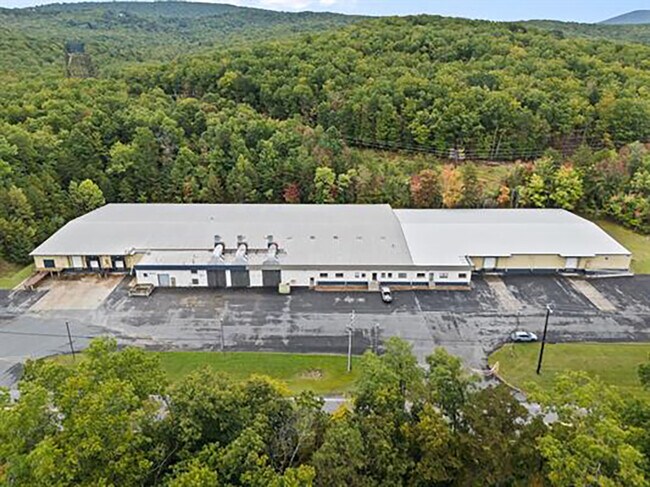 Plus de détails pour 2000 S Delphine Ave, Lyndhurst, VA - Industriel à louer