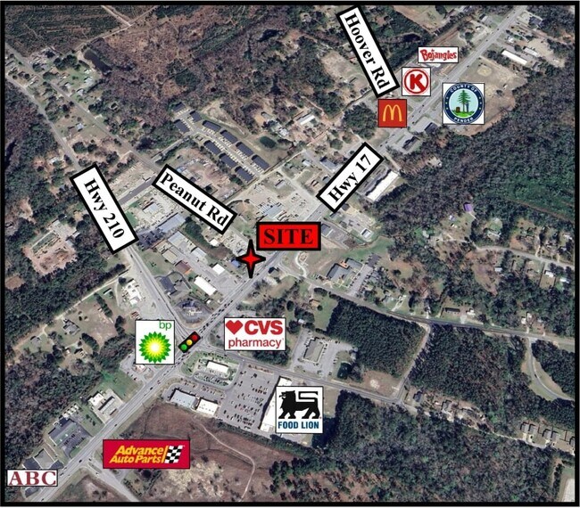 More details for 14711 Highway 17 and 35 Peanut Road – for Sale, Hampstead, NC
