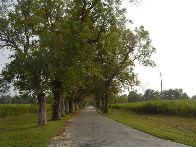 600 Pecan Ln, Lake Waccamaw, NC for sale - Building Photo - Image 1 of 1