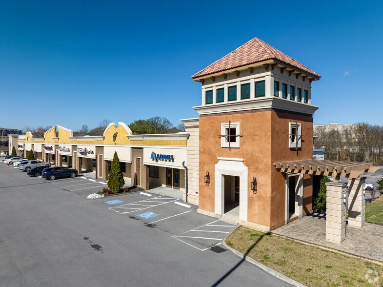 100-172 W Springbrook Dr, Johnson City, TN for lease - Building Photo - Image 1 of 14