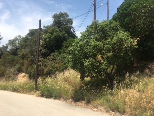 Land in Vidreres, Gerona for sale Primary Photo- Image 1 of 4