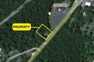 Plus de détails pour 124 Aztec Rd, Greenville, AL - Terrain à vendre