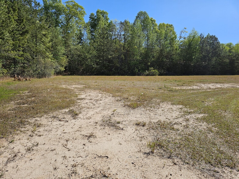 4110 Commerce St, Flowery Branch, GA for sale - Other - Image 2 of 4