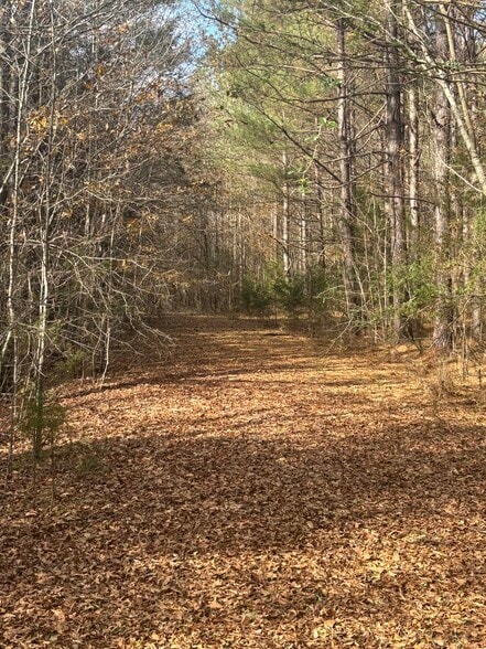 Oak Tree Dr, Honea Path, SC for sale - Building Photo - Image 2 of 8