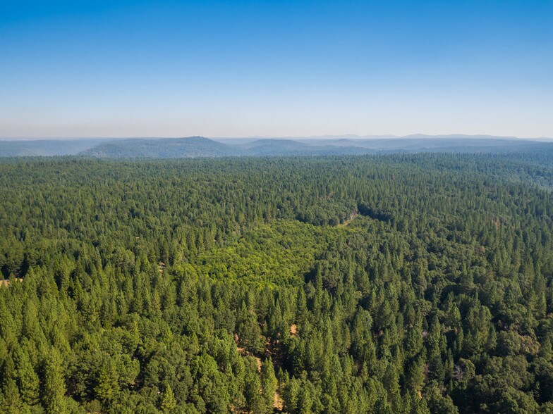 A1 Foresthill Rd, Foresthill, CA à vendre - Photo du bâtiment - Image 2 de 6