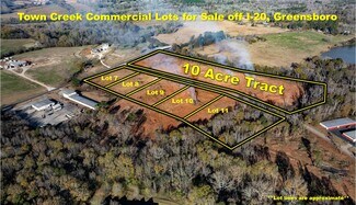 Plus de détails pour Greensboro Hwy, Greensboro, GA - Terrain à vendre