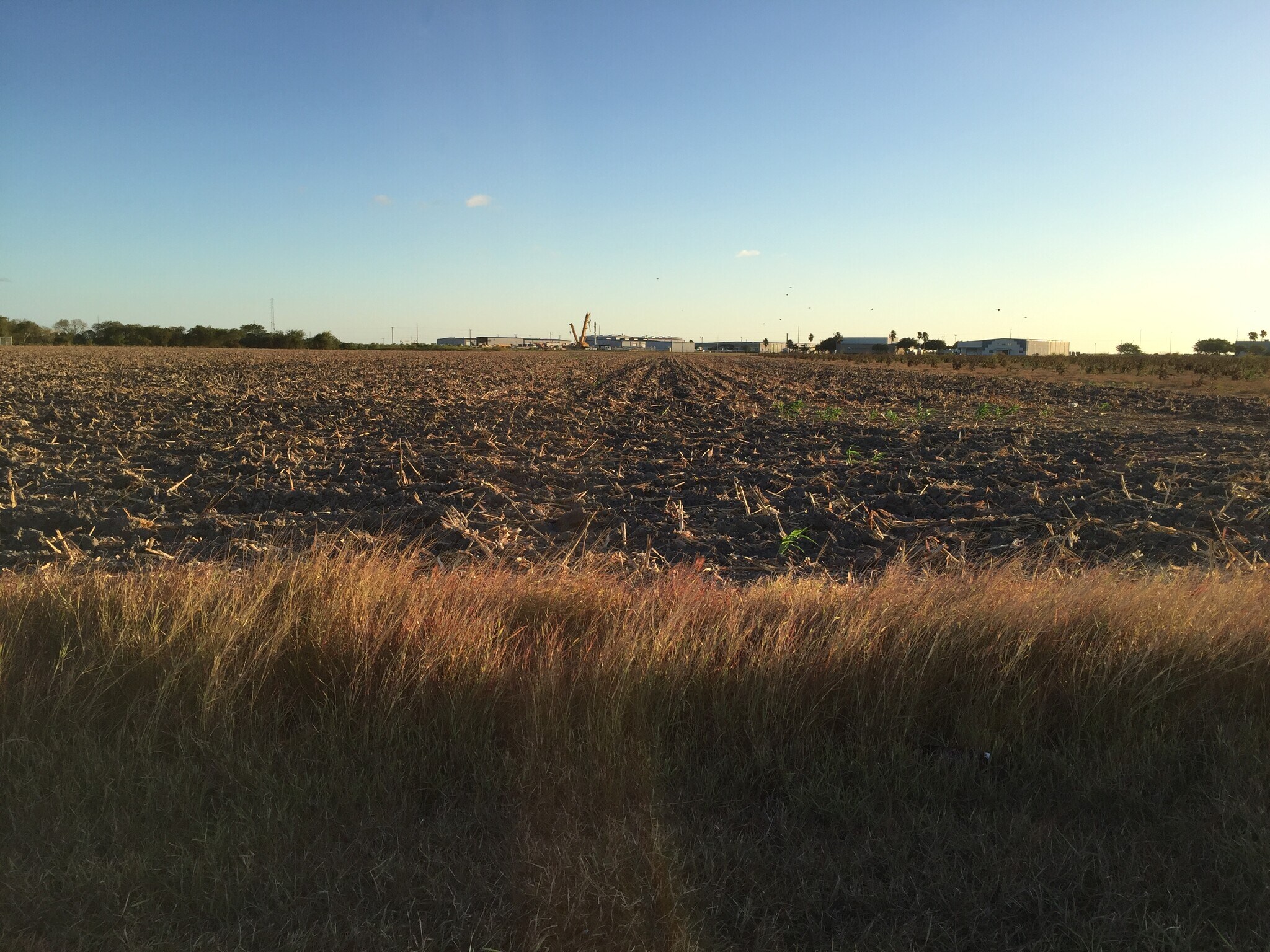 401 N Padre Island Dr, Corpus Christi, TX à vendre Photo du bâtiment- Image 1 de 9