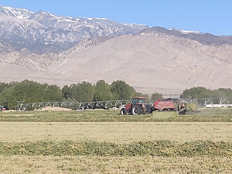 Fish Lake Valley, Dyer, NV à vendre - Aérien - Image 3 de 44