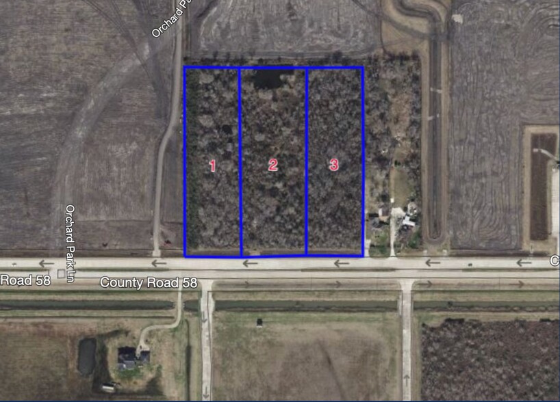 0 CR 58, Manvel, TX à vendre - Plan de site - Image 3 de 4