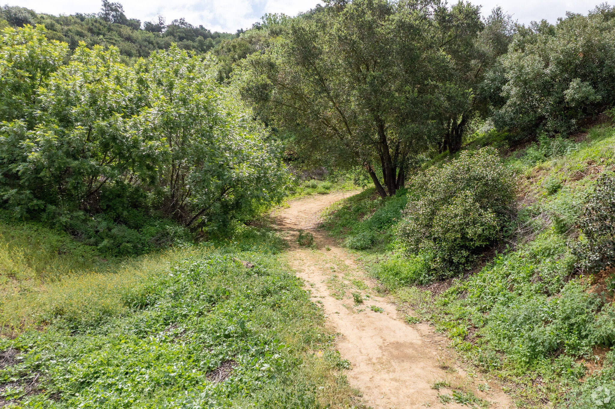 540 Carbon Canyon Rd, Chino Hills, CA for sale Primary Photo- Image 1 of 21