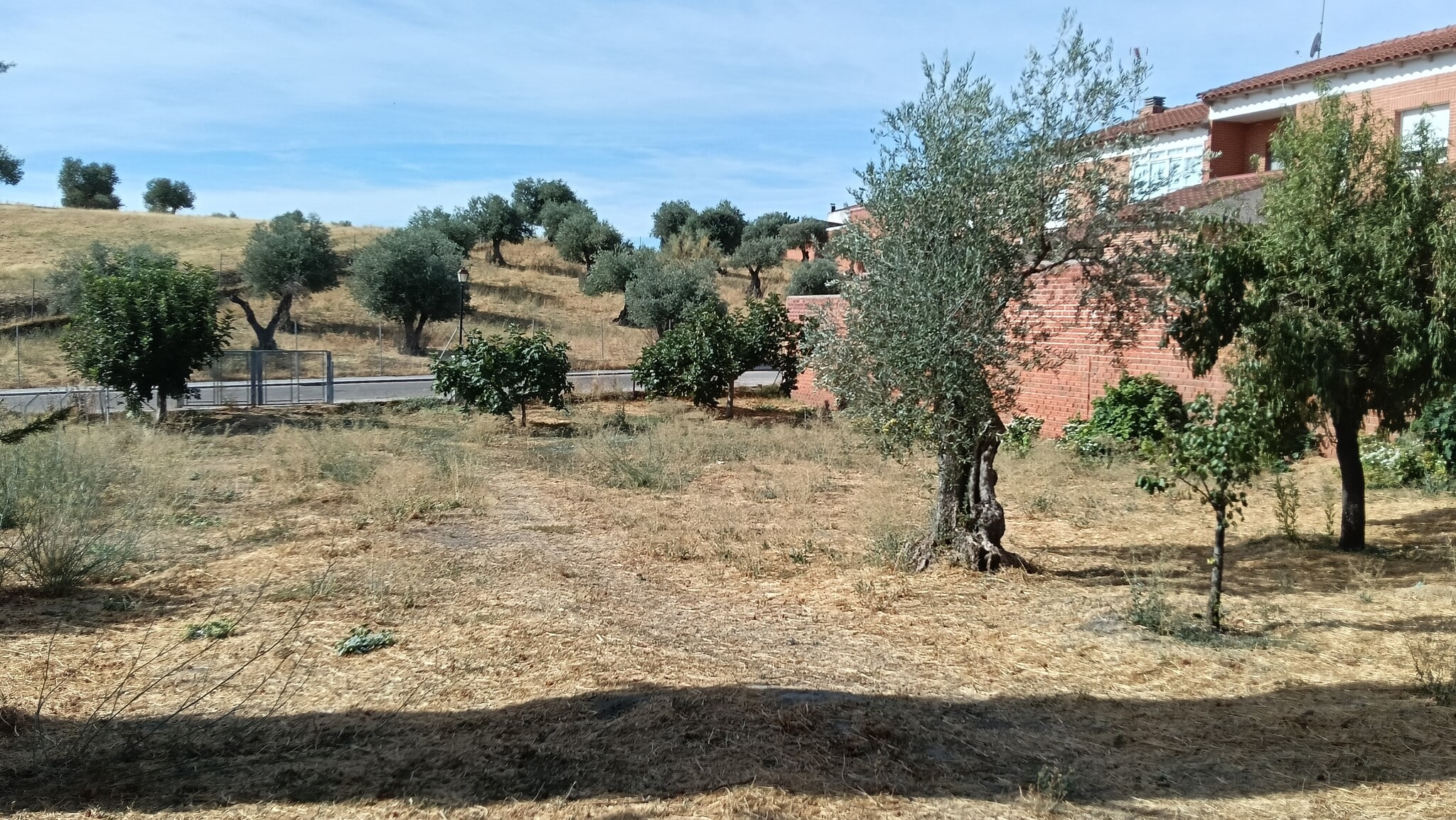 Camino de la Mina, 1, Calera y Chozas, Toledo for sale Primary Photo- Image 1 of 6