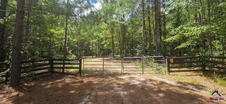 Plus de détails pour 21.20 Acres Priest Road, Vienna, GA - Terrain à vendre
