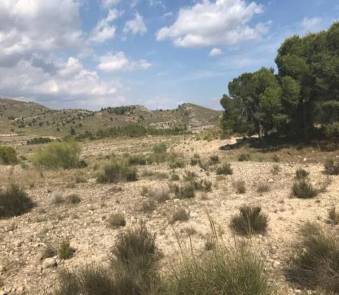 Land in Cieza for sale Aerial- Image 1 of 18