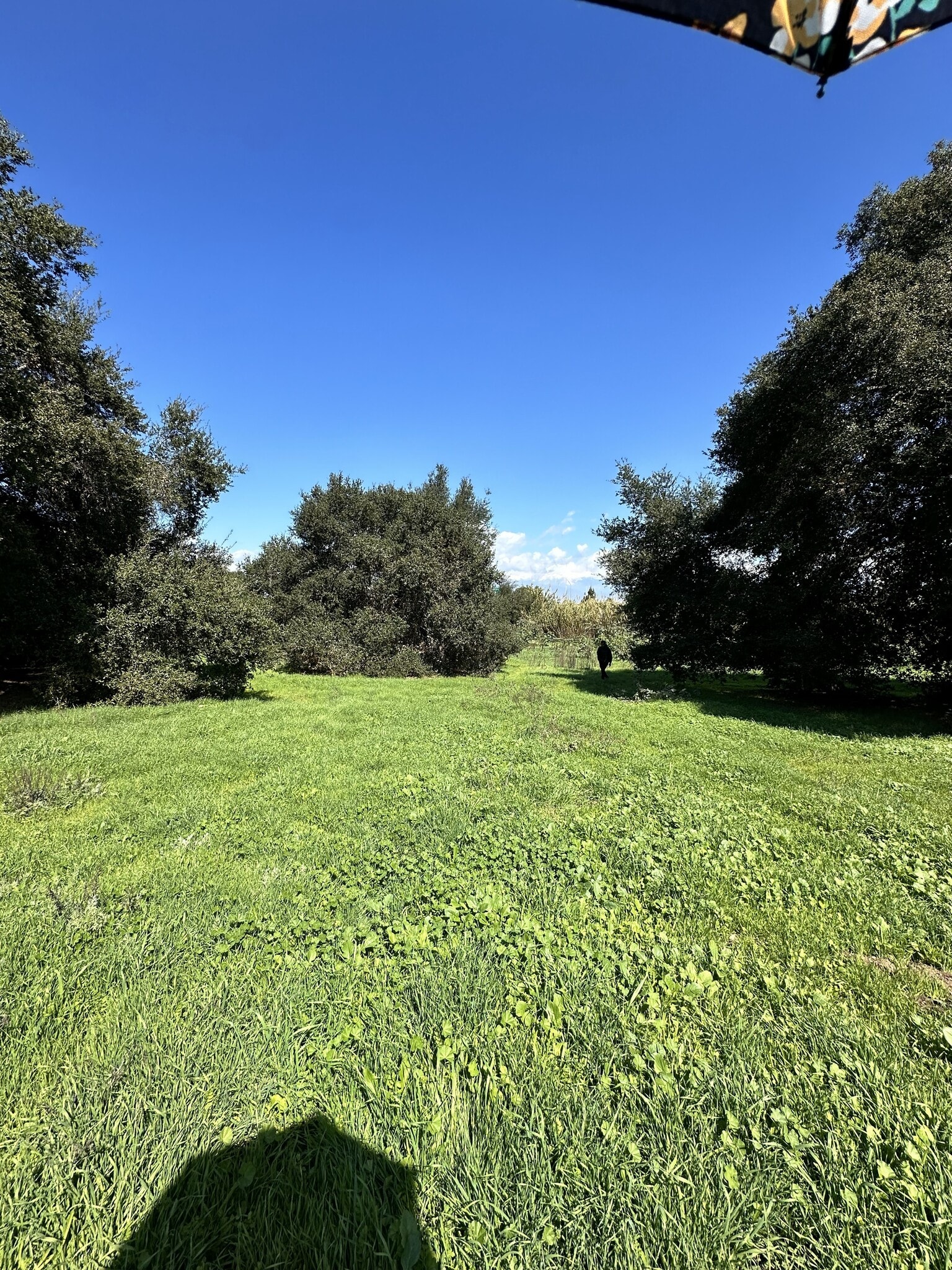 14425 Gale Ave, Hacienda Heights, CA for sale Primary Photo- Image 1 of 8