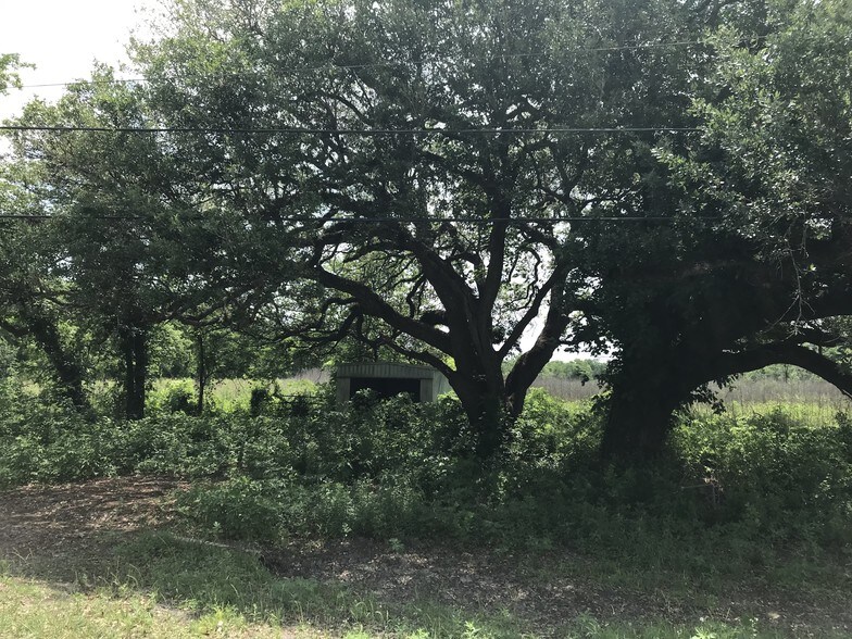 6731 N Masters Rd, Manvel, TX à vendre - Autre - Image 1 de 8