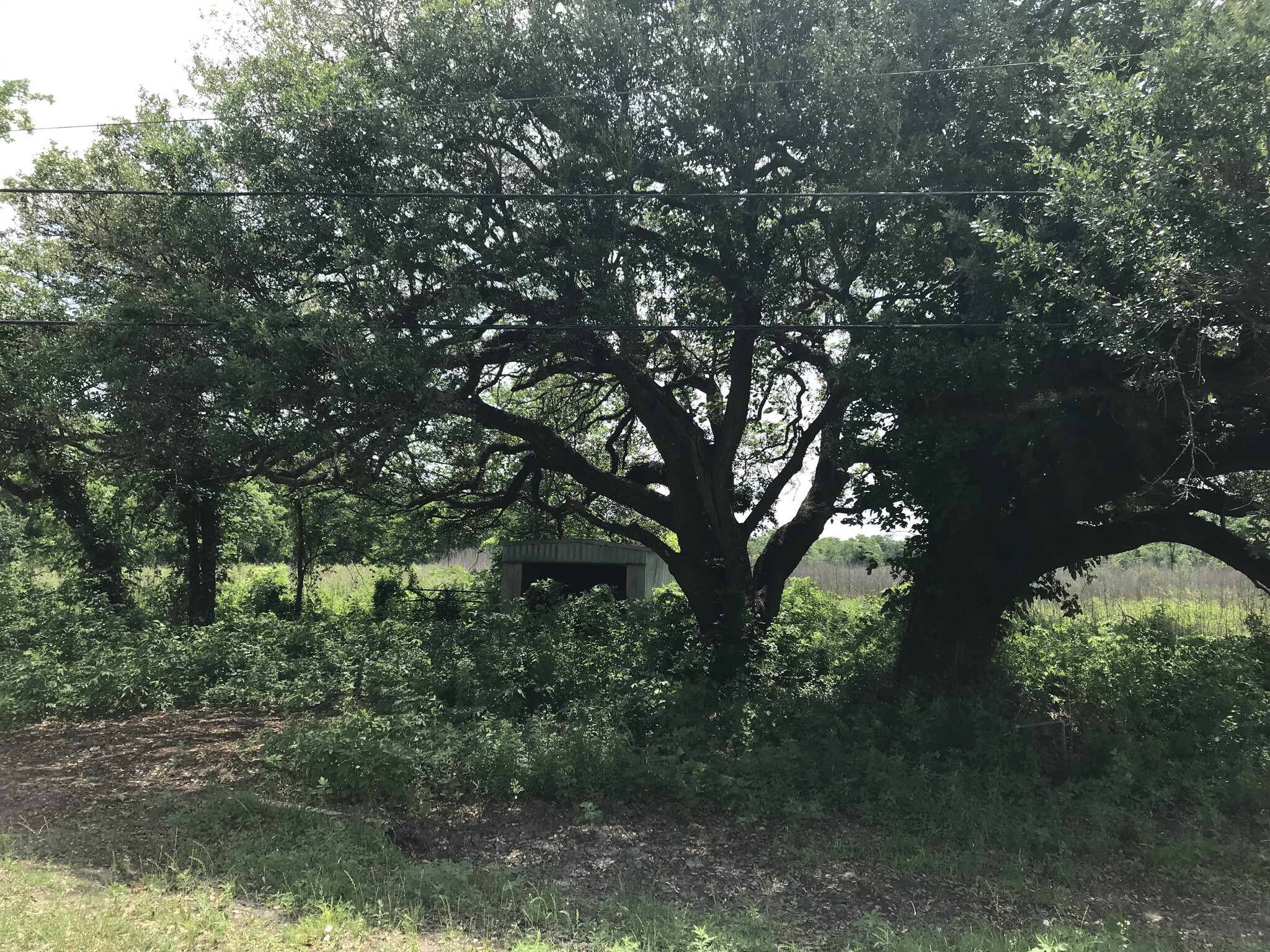 6731 N Masters Rd, Manvel, TX à vendre Autre- Image 1 de 9