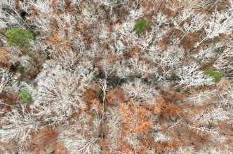 4765 Warwick Dr, Gainesville, GA - Aérien  Vue de la carte - Image1