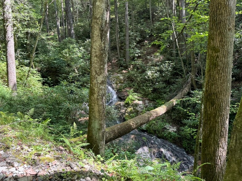 1105 Fall Creek Rd, Purlear, NC for sale - Building Photo - Image 2 of 69