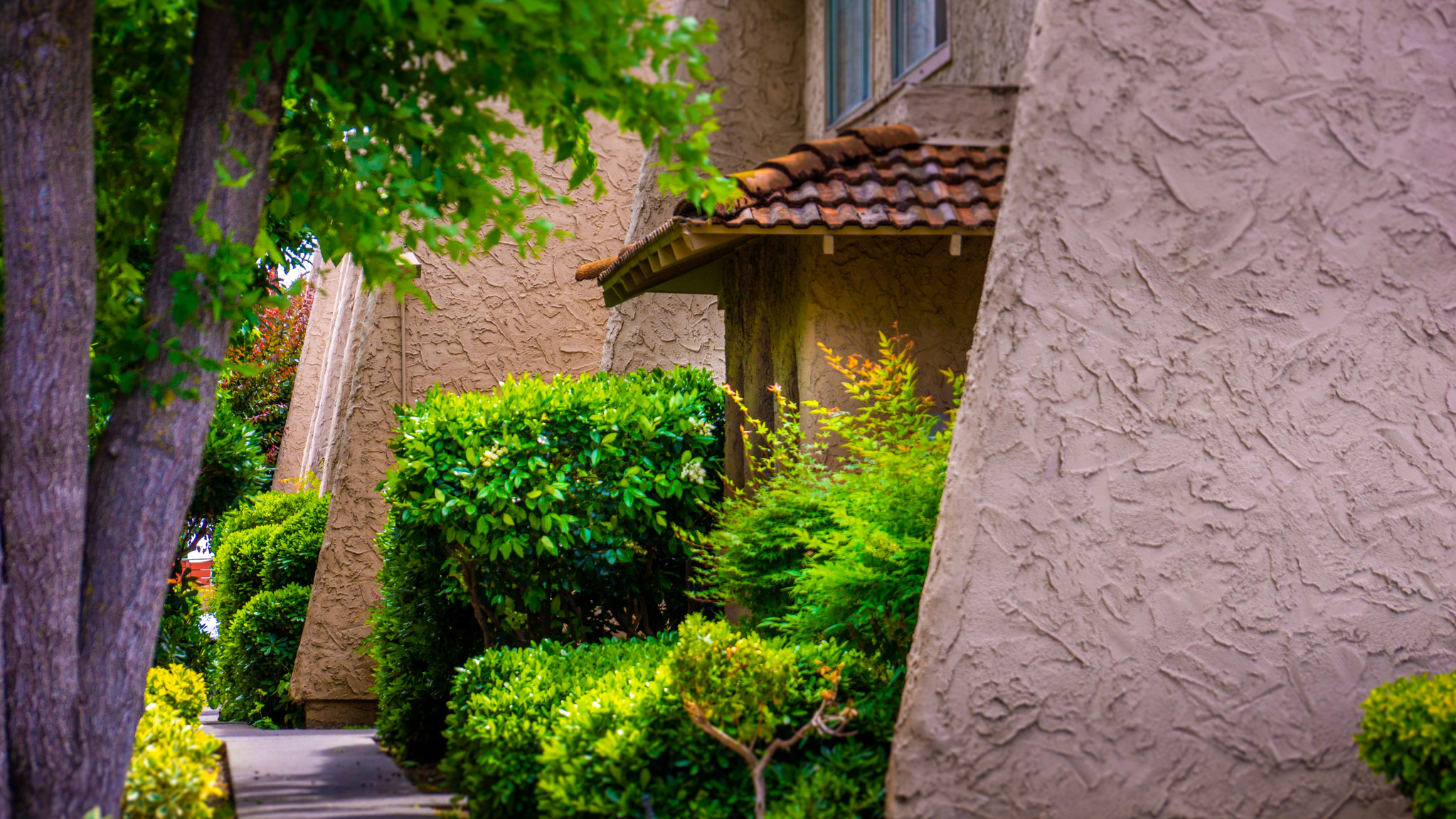 73 E Walker St, Orland, CA for sale Primary Photo- Image 1 of 1