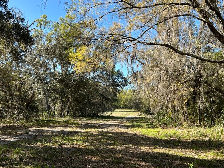 0000 Tarpon Springs Rd, Odessa, FL à vendre - Autre - Image 2 de 14