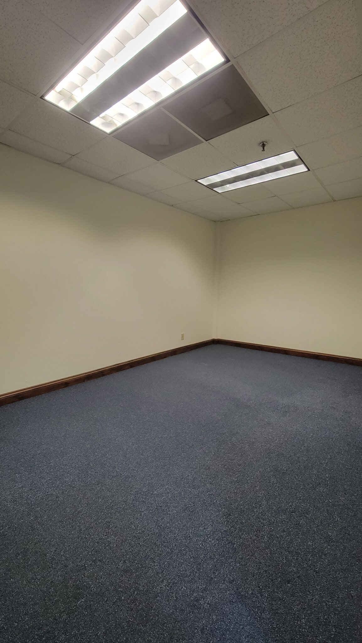 3825 Henderson Blvd, Tampa, FL for lease Interior Photo- Image 1 of 4
