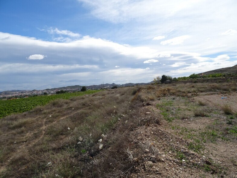 Land in Aspe for sale - Site Plan - Image 2 of 9