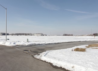 Plus de détails pour 261 W 94th Pl, Crown Point, IN - Terrain à vendre