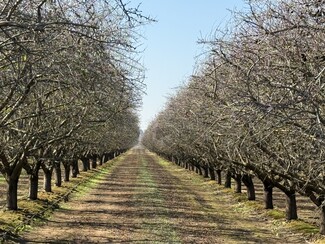 Plus de détails pour South Bethel Avenue, Del Rey, CA - Terrain à vendre