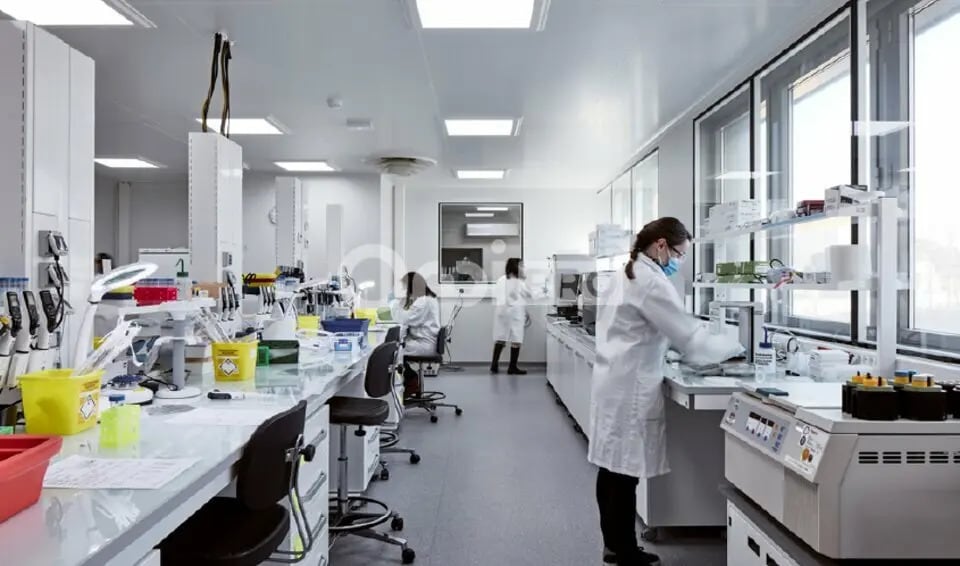 Bureau dans Lyon à louer - Photo intérieure - Image 2 de 10