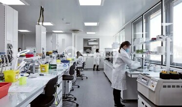 Bureau dans Lyon à louer Photo intérieure- Image 2 de 10