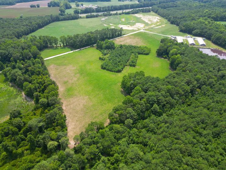157 Glaspie Rd, Magnolia, NC for sale - Aerial - Image 3 of 4