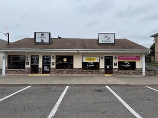 More details for 309 Vine St, Liverpool, NY - Retail for Lease