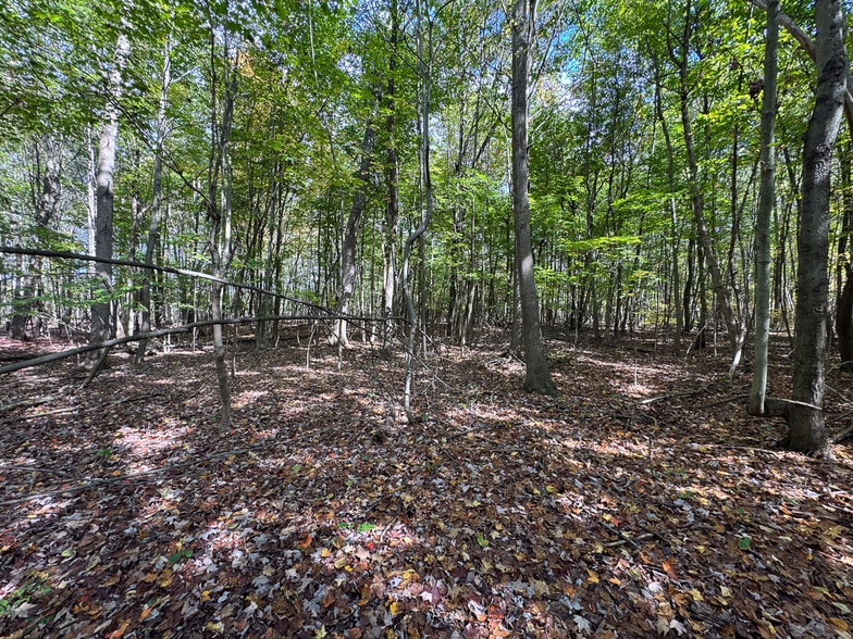 Grand Valley ave, Orwell, OH for sale - Building Photo - Image 3 of 11