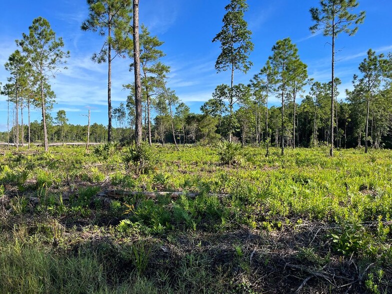 2 International Golf Parkway, Saint Augustine, FL à vendre - Photo du b timent - Image 2 de 2