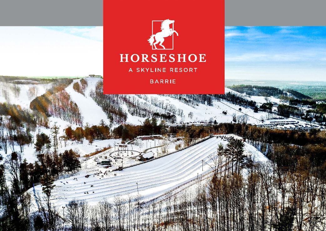 1101 Horseshoe Valley Rd W, Barrie, ON à vendre Photo principale- Image 1 de 1