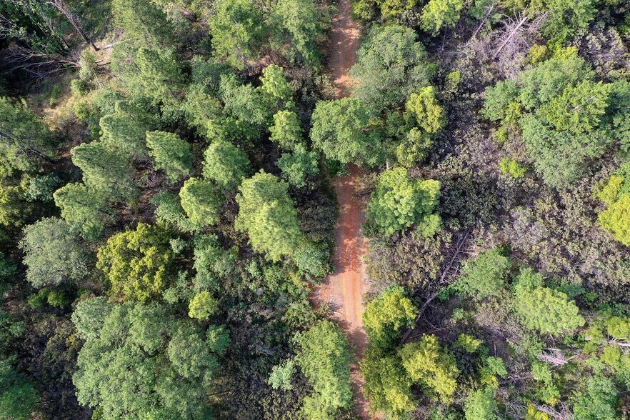 6281 Bear Creek Rd, Garden Valley, CA à vendre - Photo du bâtiment - Image 3 de 13