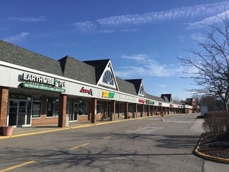 More details for 375-409 Lear Rd, Avon Lake, OH - Retail for Lease