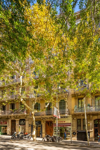 Plus de détails pour Carrer d'Aribau, 126-128, Barcelone - Commerce de détail à louer
