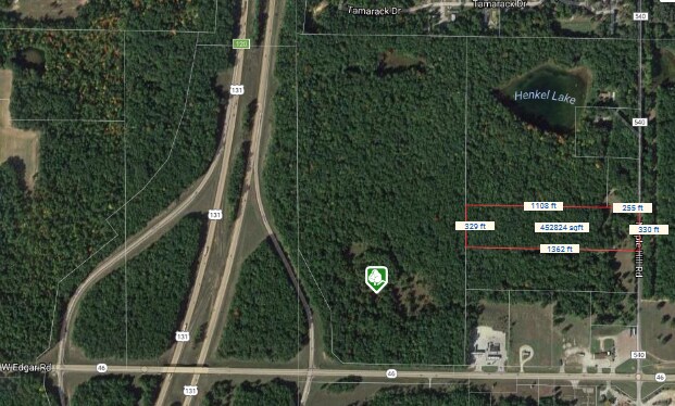 0000 W M46 Rd, Edmore, MI à vendre - Aérien - Image 3 de 3