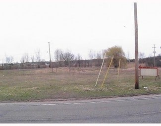 More details for 630 W Main St, Stockbridge, MI - Land for Sale