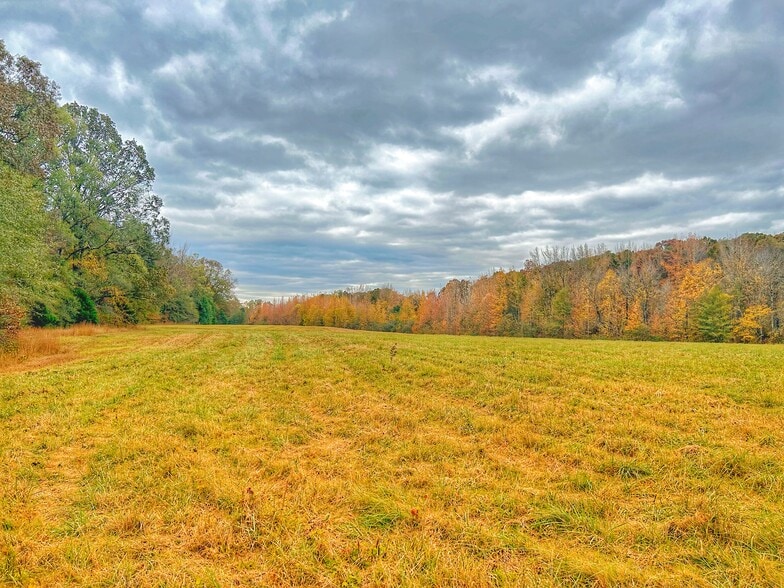 311 Highway 6 East, Oxford, MS for sale - Building Photo - Image 3 of 10